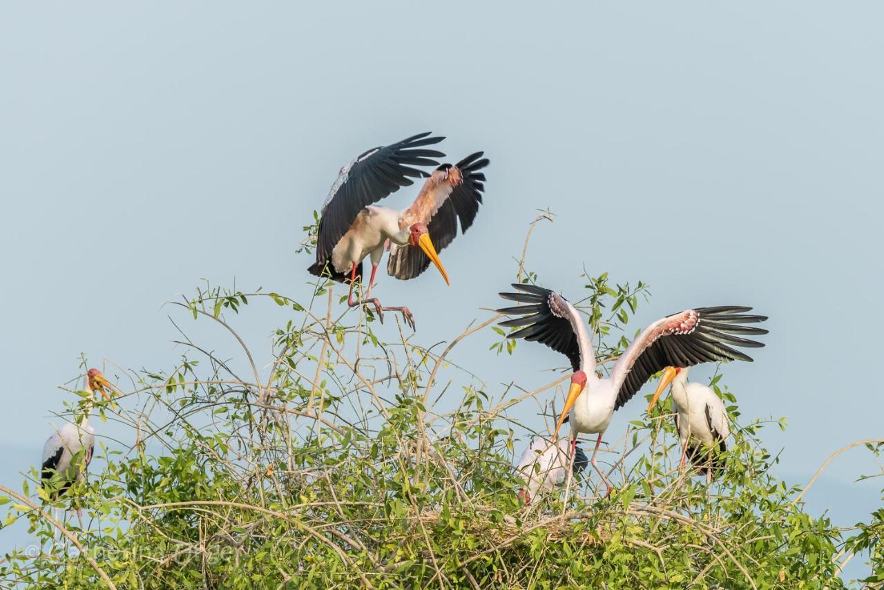 Lake Natron Maasai Giraffe Eco Lodge And Camping Mtowabaga 外观 照片
