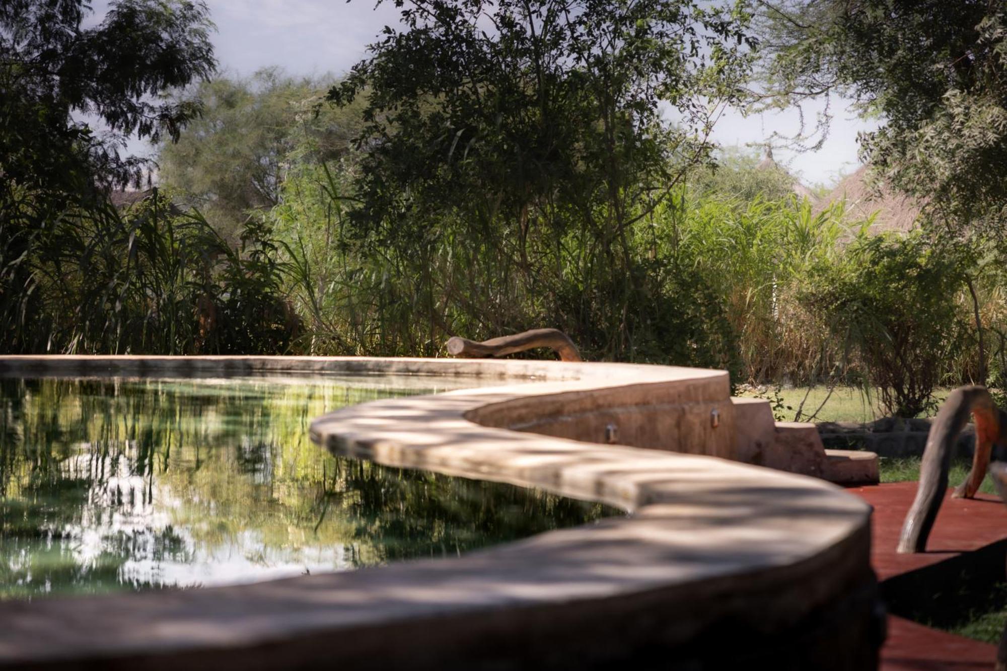 Lake Natron Maasai Giraffe Eco Lodge And Camping Mtowabaga 外观 照片