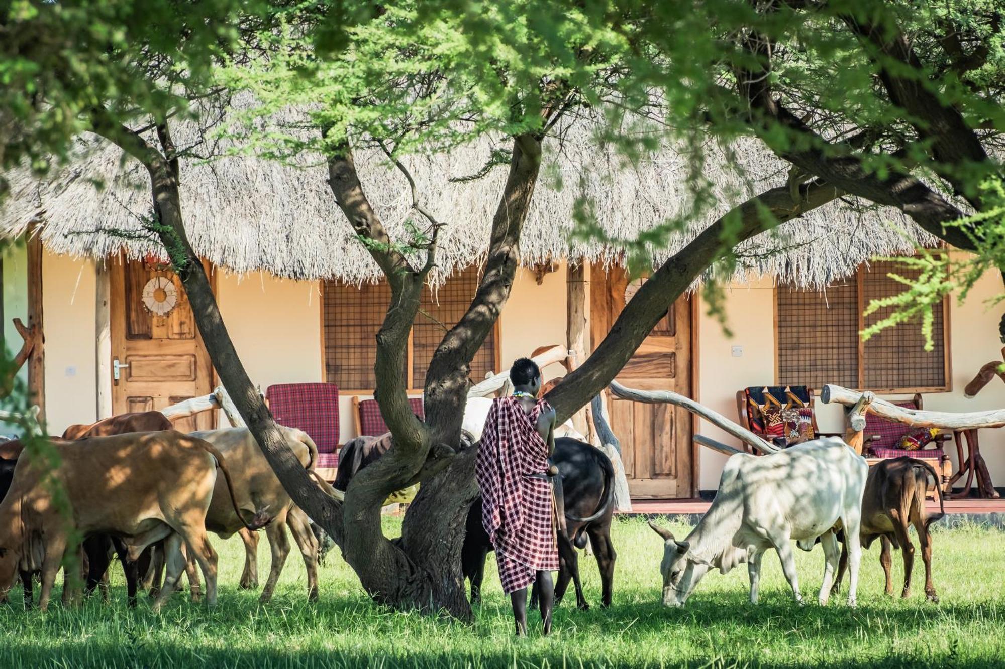 Lake Natron Maasai Giraffe Eco Lodge And Camping Mtowabaga 外观 照片