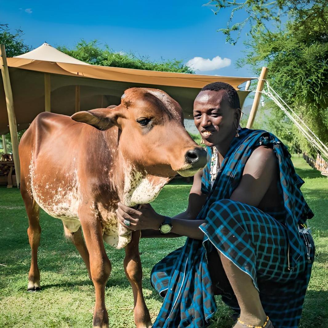 Lake Natron Maasai Giraffe Eco Lodge And Camping Mtowabaga 外观 照片